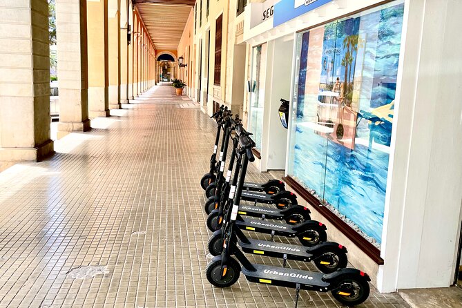 1.5 H Electric Kick-Scooter Tour - Stop 7 to 8: Cathedral de Mallorca and Palau de lAlmudaina