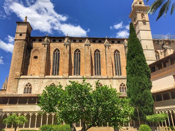 1 Hour Electric Scooter Tour in Palma - Key things that make this Palma scooter tour worth your time