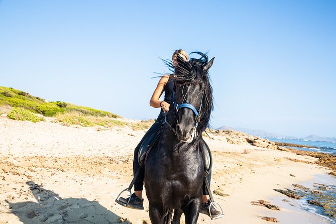 3-Hour Beach Horse Riding to Discover the Beauty of Alcudia Bay - Key Highlights (Before You Go)