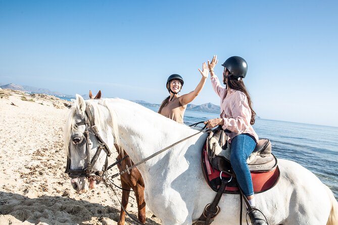 3-Hour Beach Horse Riding to Discover the Beauty of Alcudia Bay - Horses, Guides, and Riding Levels: Where Comfort Really Comes From