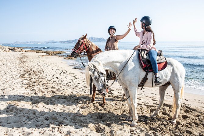 3-Hour Beach Horse Riding to Discover the Beauty of Alcudia Bay - The Real Value of This Tour Is the Mix: Beach Time Plus Mallorca Nature