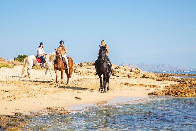3-Hour Beach Horse Riding to Discover the Beauty of Alcudia Bay - What You Should Bring for 3 Hours in the Sun and Saddle