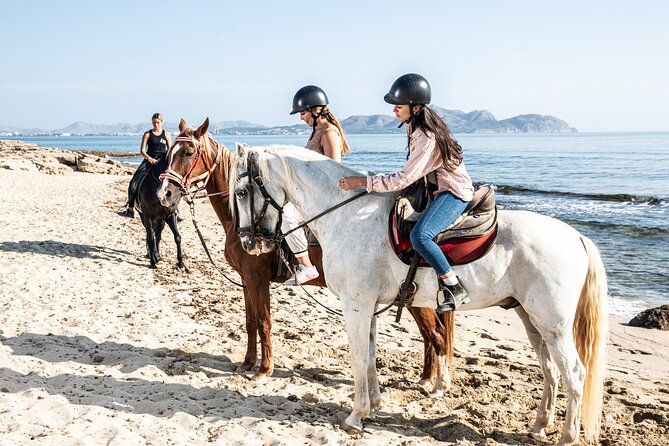 3-Hour Beach Horse Riding to Discover the Beauty of Alcudia Bay - Price and Logistics: Is $90.12 Worth It?