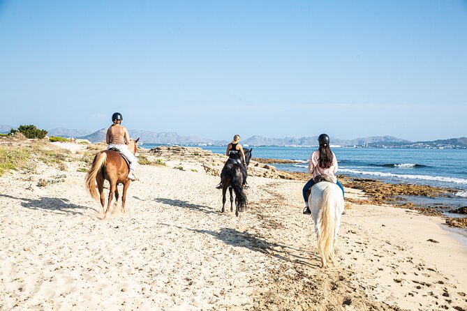 3-Hour Beach Horse Riding to Discover the Beauty of Alcudia Bay - Who This Tour Suits Best (And Who Might Want a Plan B)