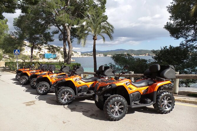 3 hours quad tour from Paguera - Port Portals: the glam marina moment, Mallorca-style