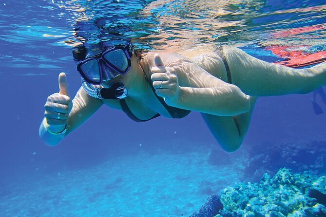 4 Hour Private Yacht Tour Mallorca - Why a private captain makes a big difference in Mallorca