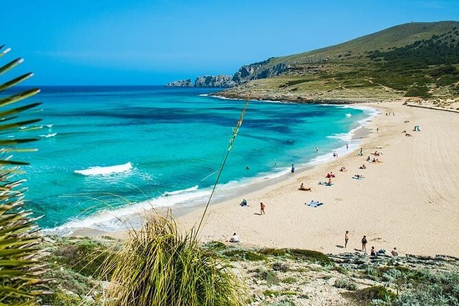 Afternoon Snorkel & Paddle Surf Experience in a Secret Spot - Key Highlights