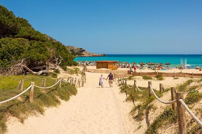 Afternoon Snorkel & Paddle Surf Experience in a Secret Spot - Who This Tour Is For