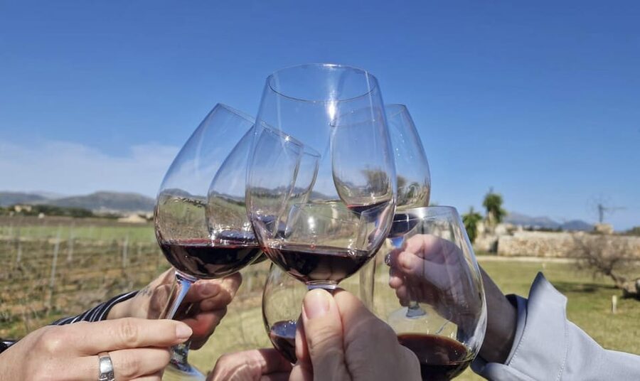 Alcúdia/Can Picafort: Guided Vineyard Visit and Wine Tasting - Why this guided vineyard and wine tasting feels like a real Mallorca day
