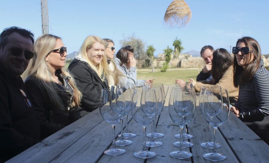Alcúdia/Can Picafort: Guided Vineyard Visit and Wine Tasting - The vineyard walk: what you’ll look for and why it matters