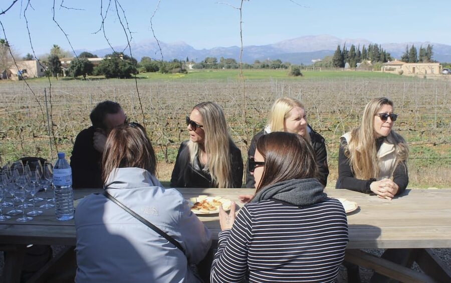 Alcúdia/Can Picafort: Guided Vineyard Visit and Wine Tasting - Inside the winery: barrels, technique, and the tasting terrace