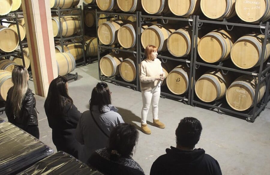 Alcúdia/Can Picafort: Guided Vineyard Visit and Wine Tasting - Buying bottles at special prices: make it a smart take-home decision