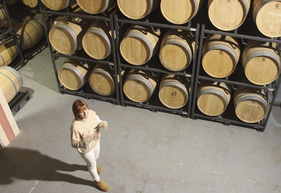 Alcúdia/Can Picafort: Guided Vineyard Visit and Wine Tasting - Who this tour is best for, and who should skip it