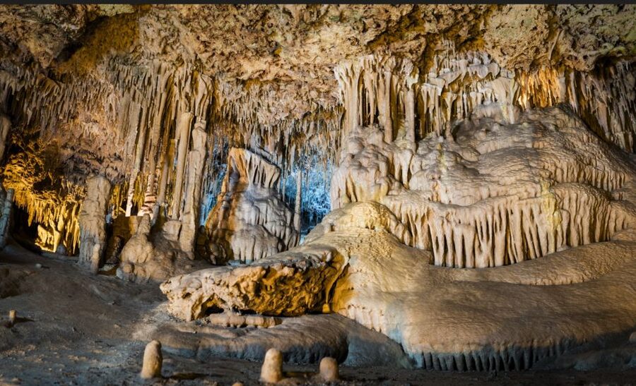 Alcudia: Half-day Caves of Hams, Blue Caves and documentary - After the cave: botanical garden time, picnic area, and lunch options