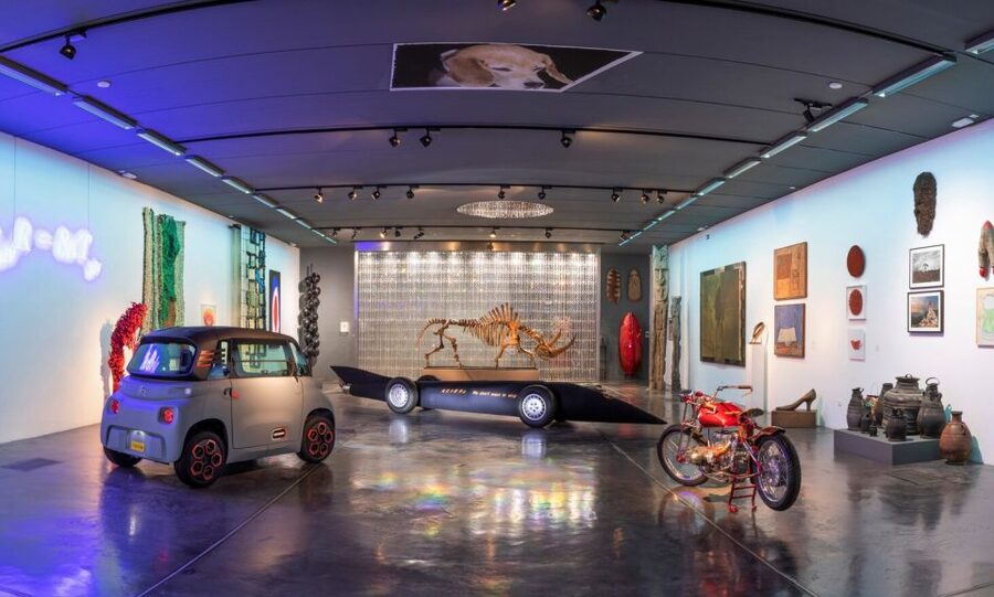 Alcudia: Museum Sa Bassa Blanca Entry Ticket - SoKrates gallery, the underground Cabinet of Curiosities feeling