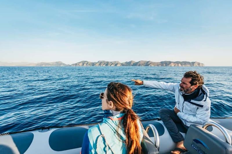 Alcudia or Can Picafort: Dolphin-Watching Cruise - Key points that make this cruise worth your time
