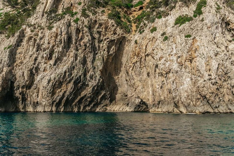 Alcudia or Can Picafort: Dolphin-Watching Cruise - Who should book, and who should think twice