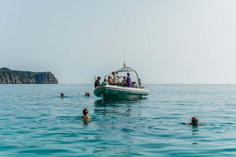 Alcudia or Can Picafort: Dolphin-Watching Cruise - Dolphins off the Mallorcan coast: how you get close without rushing