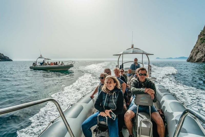 Alcudia or Can Picafort: Dolphin-Watching Cruise - Price and value: is $91 a smart deal for Mallorca