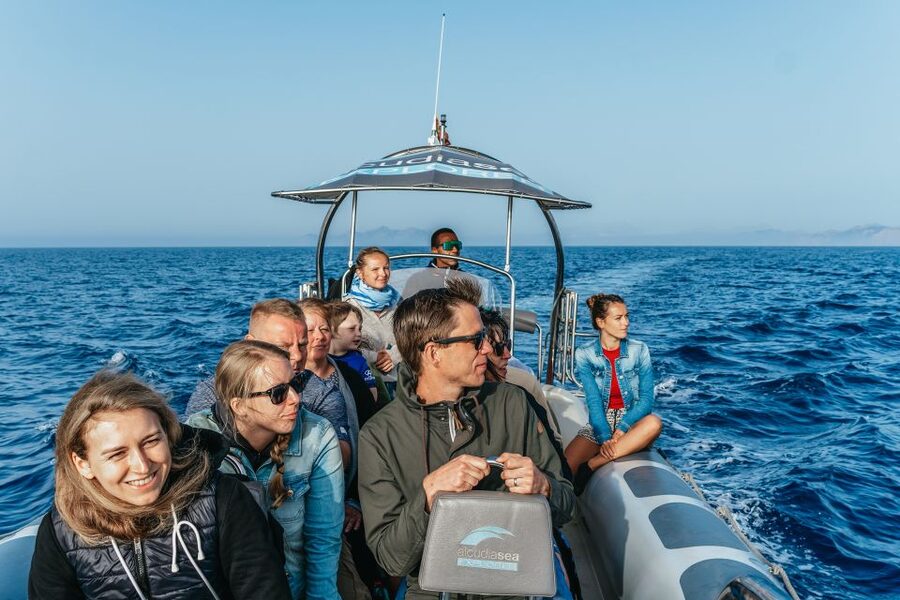 Alcudia or Can Picafort: Dolphin-Watching Cruise - Getting there without stress: meeting point and timing tips