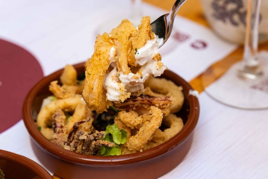 Alcudia: Self-Guided Gourmet Tapas and Wine Tour - Who this Alcudia tapas route is best for