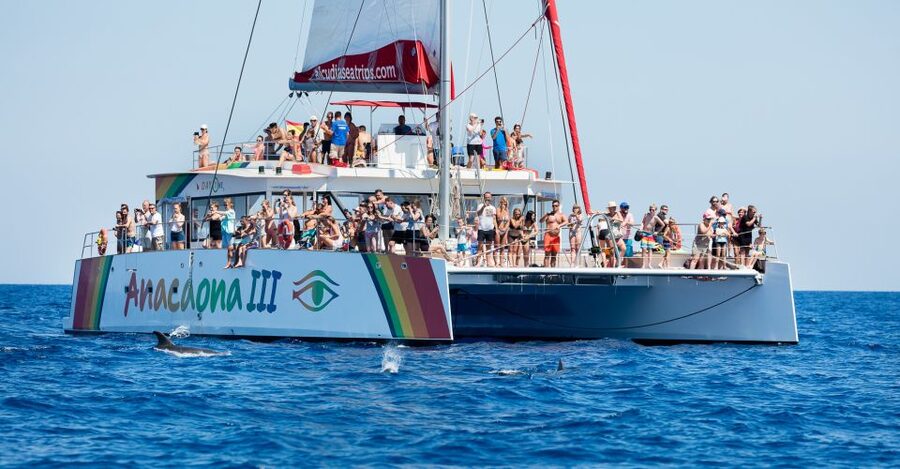 Alcudia: Sunset Catamaran Tour with Dinner and Snorkeling - Key highlights at a glance