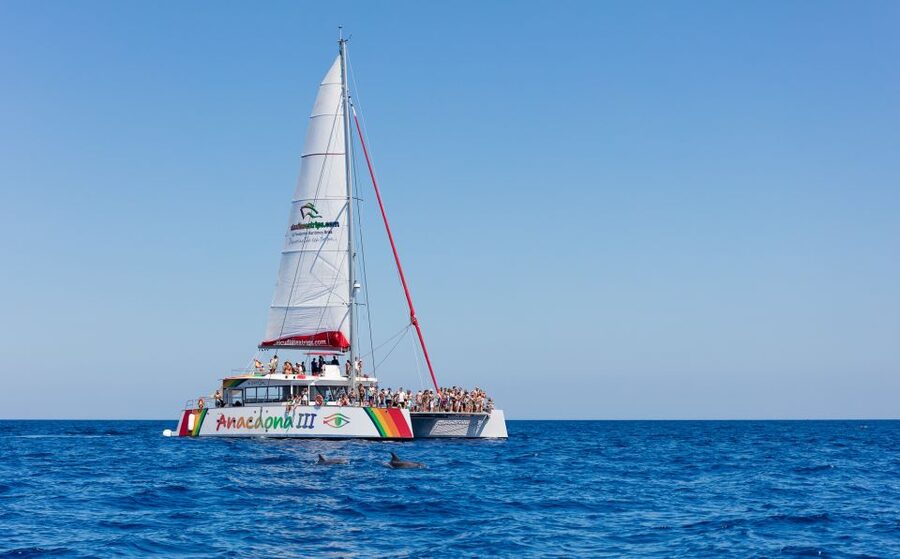 Alcudia: Sunset Catamaran Tour with Dinner and Snorkeling - North Mallorca at Golden Hour: The Sunset Catamaran Setup