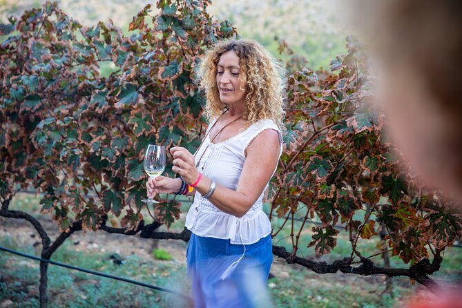 Alcudia Winecellar Tour with Vineyard Visit, Tasting of 5 Wines - Walking the cellars with Marga, then tasting 5 Mallorca wines