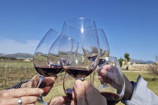 Alcudia Winecellar Tour with Vineyard Visit, Tasting of 5 Wines - Vineyards and sea-influenced growing conditions, explained without the snobbery