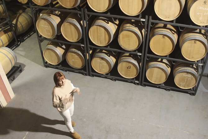 Alcudia Winecellar Tour with Vineyard Visit, Tasting of 5 Wines - Snacks with local ingredients, and why that pairing improves everything