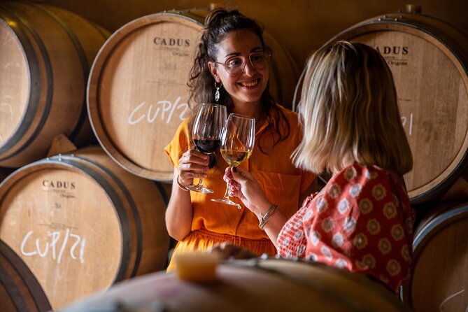 Alcudia Winecellar Tour with Vineyard Visit, Tasting of 5 Wines - Price and value for money, what you actually get for $53.52