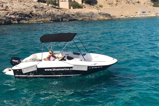 Bluemarine.me license free Bayliner Element E5 rental - What You’ll Love Most About This Bayliner Rental