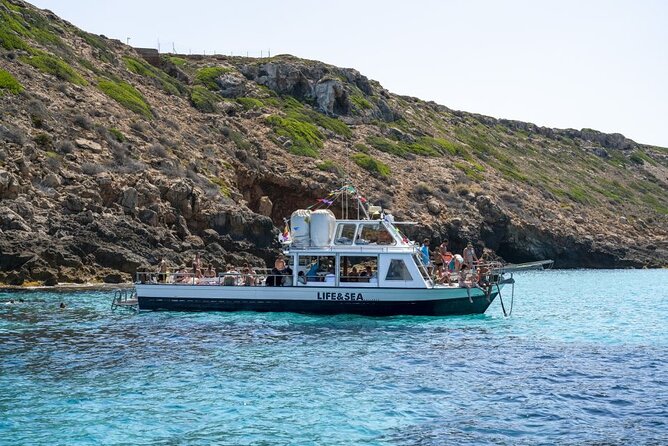 Boat Tour 2 hour in Palma Bay - The Nature Reserve Swim Stop: Snorkeling, Floating Gear, and Fish Expectations