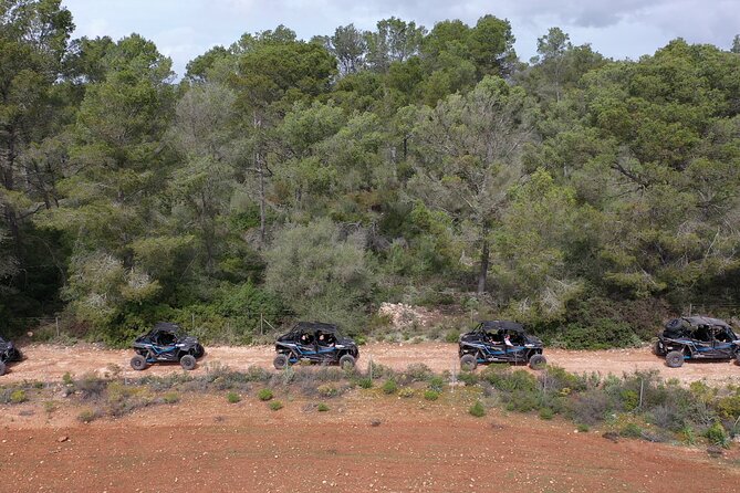 Buggy 2-seater and 4-seater Off-On Road Tour in Mallorca - Why This Mallorca Buggy Tour Works So Well in 3 Hours