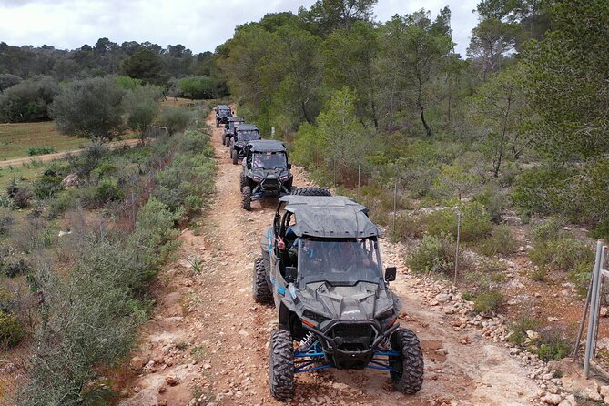 Buggy 2-seater and 4-seater Off-On Road Tour in Mallorca - Sant Jordi’s Unpaved Track: Where You Actually Feel It