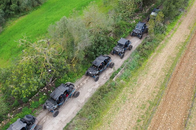 Buggy 2-seater and 4-seater Off-On Road Tour in Mallorca - 2-Seater vs 4-Seater: Pick the Right Layout for Your Group