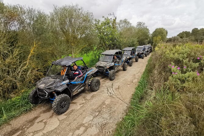 Buggy 2-seater and 4-seater Off-On Road Tour in Mallorca - Randa to Sant Jordi: Setting Up the Off-Road Turn