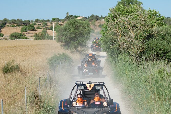 Buggy tour: East area of Mallorca - How thrilling is it, really? Expect scenery over speed