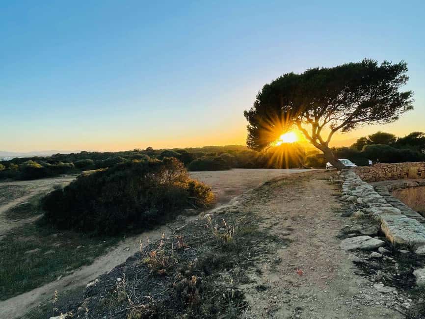 Cala Millor: real treasure hunt in natural reserve, fun walk - Practical tips to make your treasure hunt smoother
