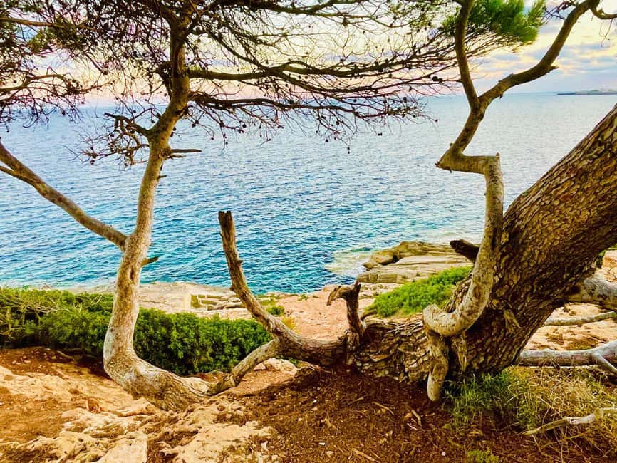 Cala Millor: real treasure hunt in natural reserve, fun walk - The 4 km route through Punta de n’Amer, forest, dunes, and rocks