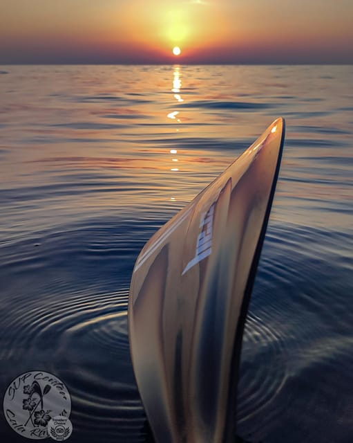 Cala Ratjada: Stand Up Paddle Sunrise Tour - Key Things That Make This Cala Ratjada SUP Sunrise Tour Special