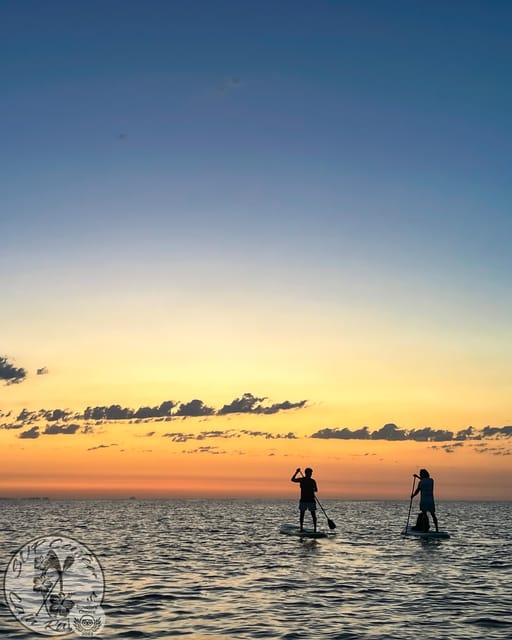 Cala Ratjada: Stand Up Paddle Sunrise Tour - Meeting Point at Cala Agulla: Quick, Straightforward, and Wind-Dependent