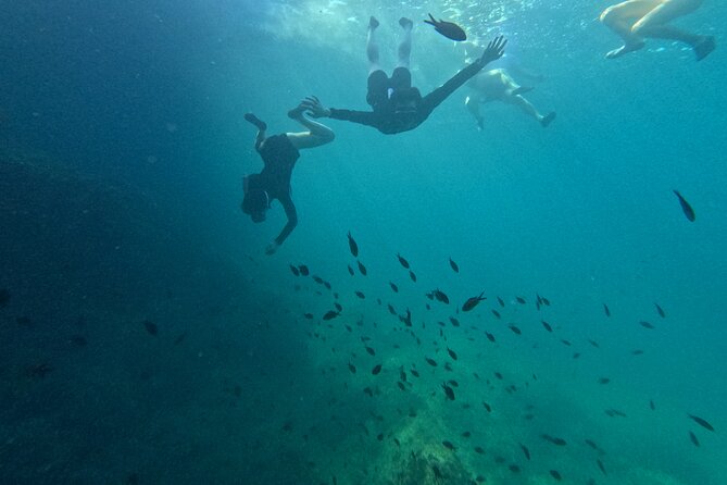 Cala Varques: Guided kayak Sea caves expedition & snorkeling - Weather, Fitness, and What to Prepare Before You Go