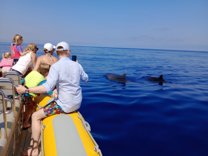 Can Picafort: Dolphin Watching Boat Tour with Swimming - Dolphins up close, and how the boat stays in the action