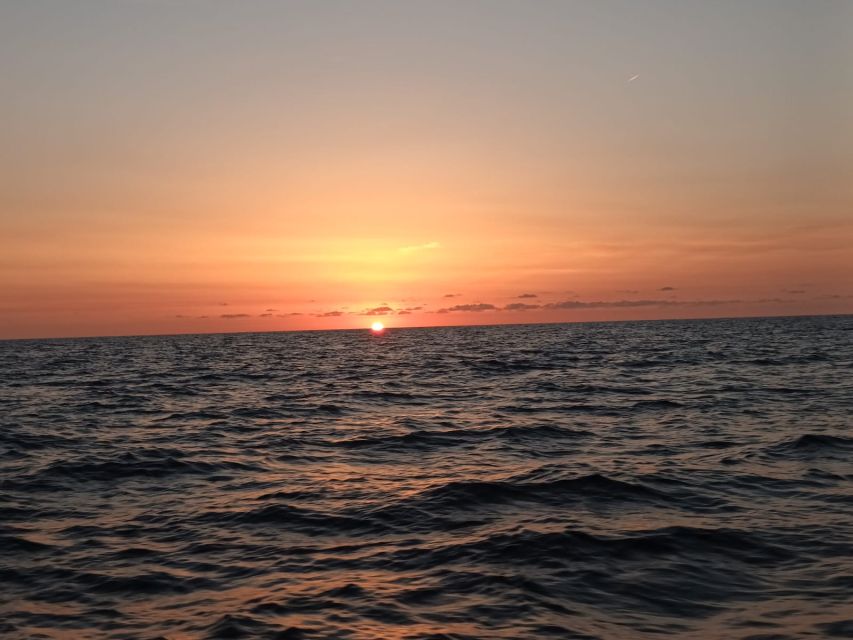 Can Picafort: Dolphin Watching Boat Tour with Swimming - Group size, guide style, and why it feels efficient