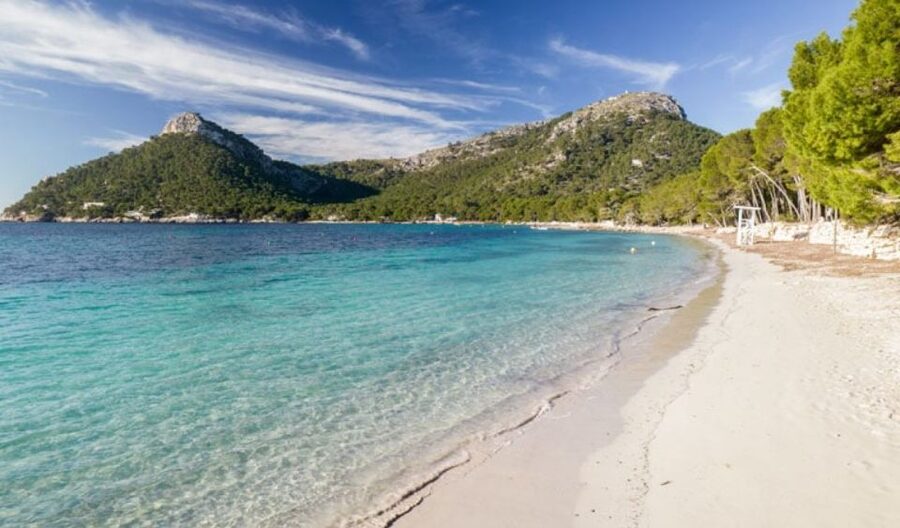 Can Picafort or Alcudia: FORMENTOR BEACH - Swim and snorkel coves: what you can actually do