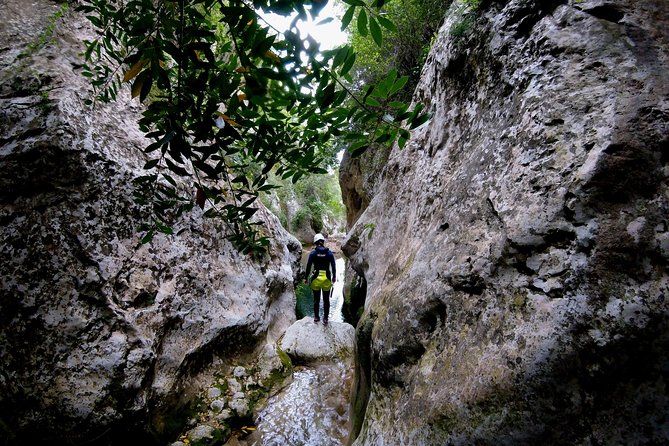 Canyoning Mallorca - Choosing the Right Level: How Your Day Gets Tailored
