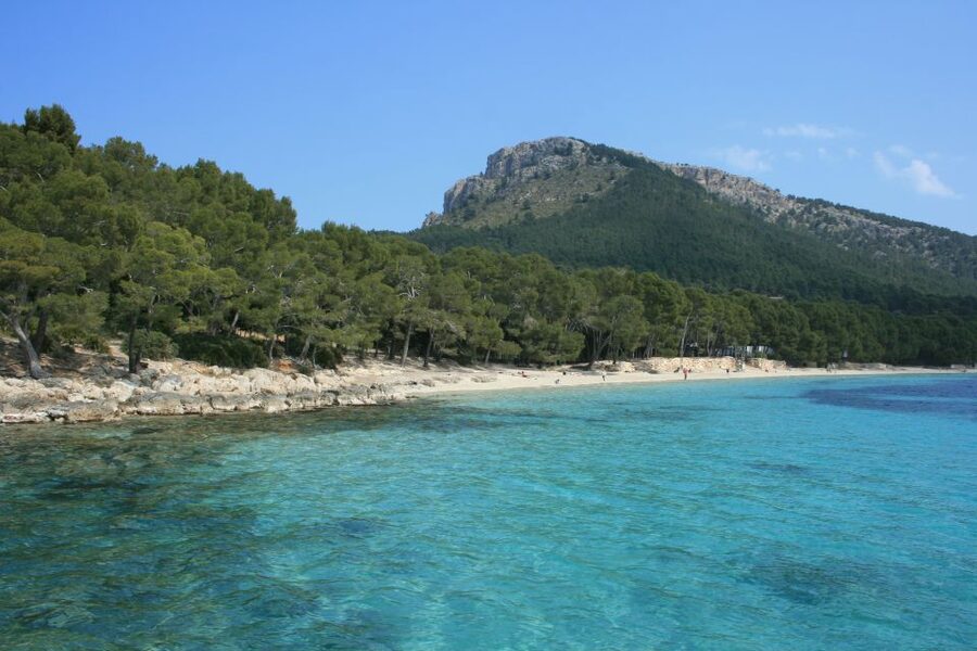 Cap de Formentor: Market, Beach, and Alcudia Tour - Cap de Formentor and the top views: how to time your photos and your patience