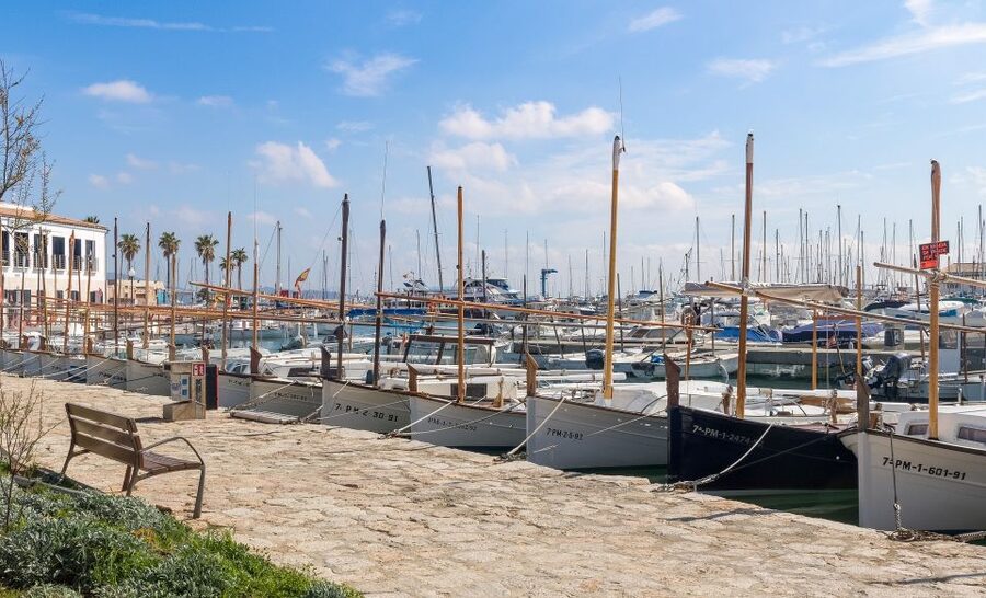 Cap de Formentor: Market, Beach, and Alcudia Tour - Lunch and food reality on a half-coast day
