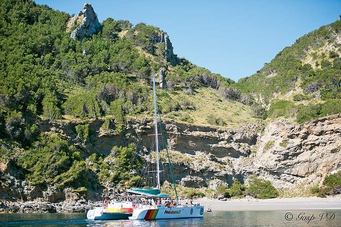 Catamaran Cruise from Port d'Alcudia with Lunch and Swim Stop - What You Actually Get for $86.50: A Value Check
